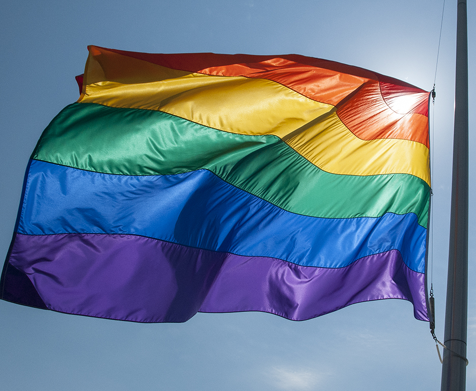 Leather Pride Flag - DSC_7933.jpg